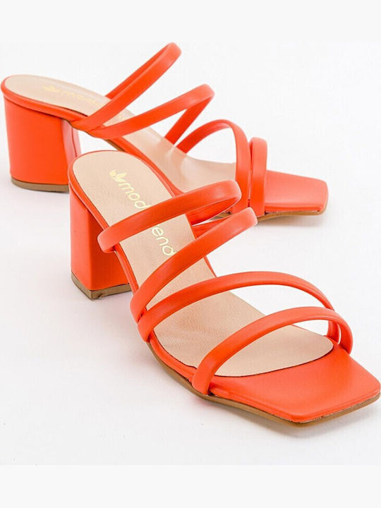 Moda Trend