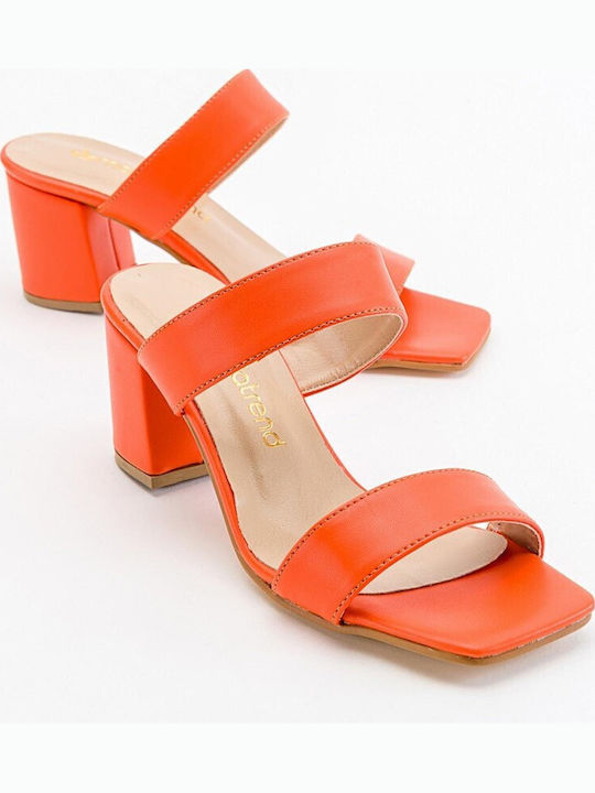 Moda Trend