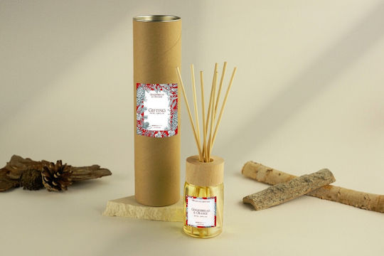 Gingerbread & Orange Αρωματικό Χώρου Στικς 100ml Special Edt Ambientair