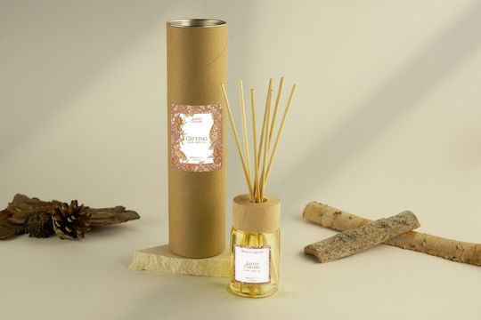 Salted Caramel Raumdüfte Sticks 100ml Special Edt Ambientair