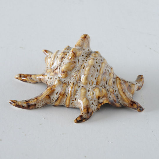 Οστρακο 4/ass Πορσελανη Alyssa 7x6x4cm Μπεζ Καφε