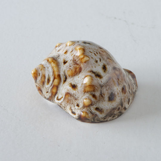 Οστρακο 4/ass Πορσελανη Alyssa 7x6x4cm Μπεζ Καφε