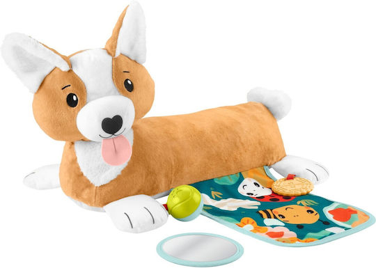 Fisher Price Perna De Timp Tummy Time Pentru Nou-Născuți