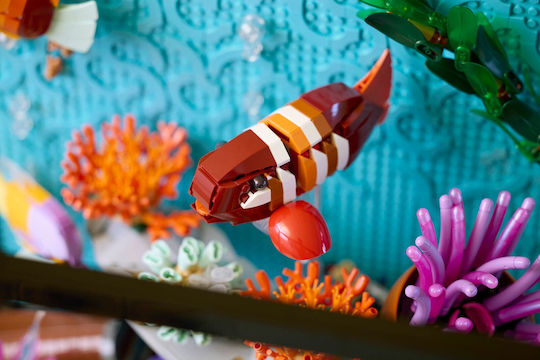 LEGO Icons Acvariu Tropical Pentru Vârsta 18+ Număr Bucăți 4154