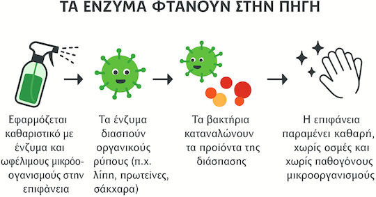 Net Professional Οικολογικό Καθαριστικό Λεκέδων σε Spray για Αρμούς, Πλακάκια & Υφάσματα 500ml 1204/3