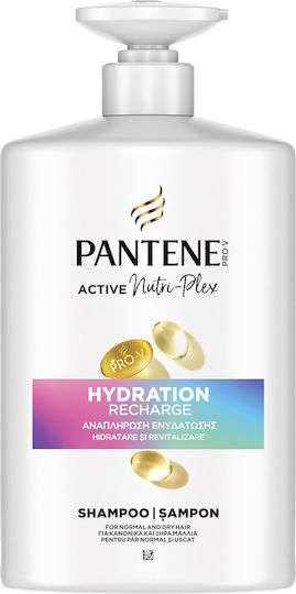 Shampoos für Trocken Haare 800ml
