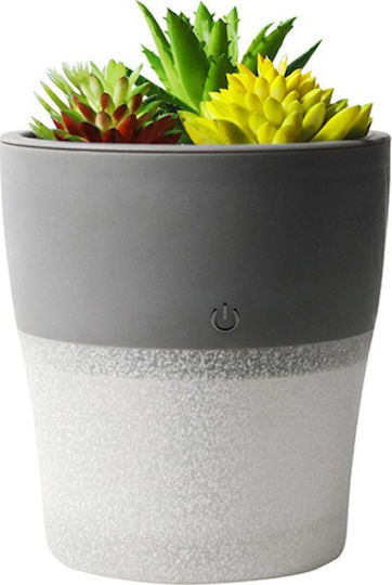 Setty Luftbefeuchter in Gray Farbe GSM189185