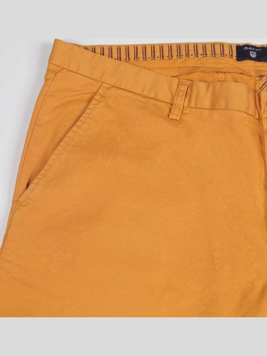 Gant