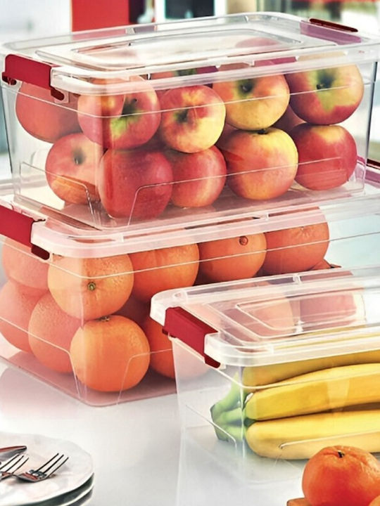 Viosarp Plastic Storage Box with Lid Transparent 3lt 1pcs