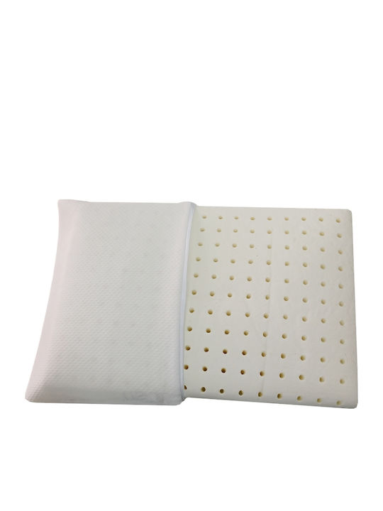 BS Collection Latex Bed Pillow 50x70cm
