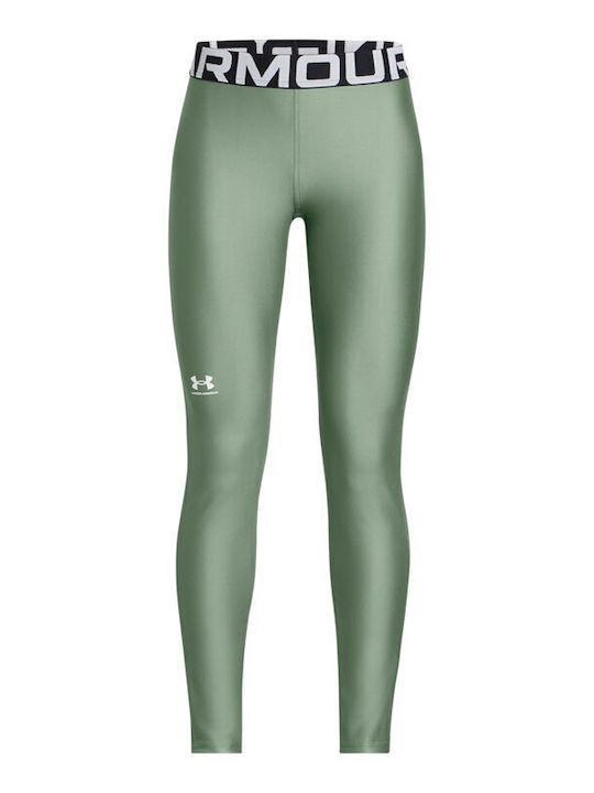 Leggings Pentru Instruire Colanți Lung Strângere Verde