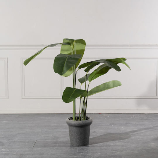 Πουλί του Παραδείσου Εξωτερικού Χώρου 180cm Supergreens