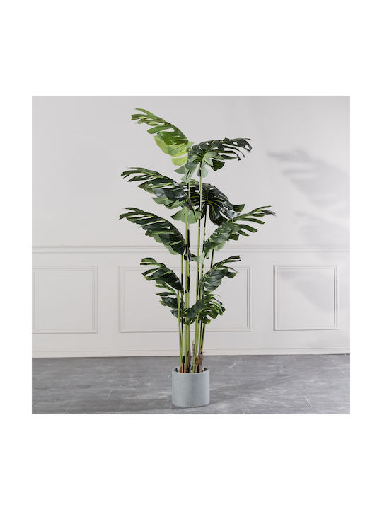 Μονστέρα Εξωτερικού Χώρου 210cm Supergreens