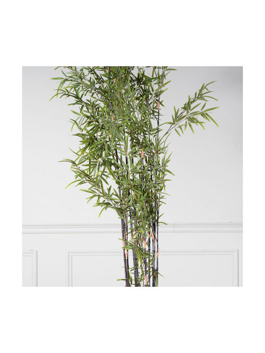 Μπαμπού Εξωτερικού Χώρου 240cm Supergreens