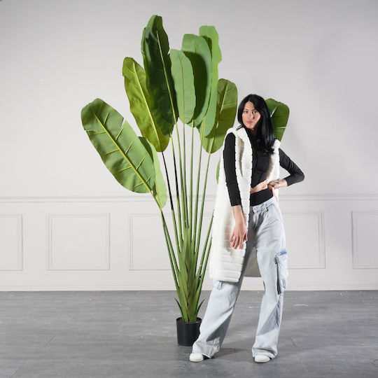 Artificial Outdoor Tree Bird of Paradise Green 250cm Supergreens