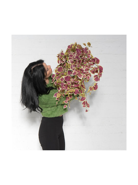 Decorative Garland 70cm Supergreens