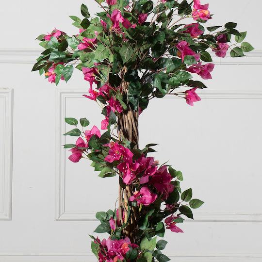 Βουκαμβίλια Εξωτερικού Χώρου Φούξια 125cm Supergreens