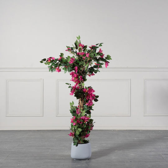 Βουκαμβίλια Εξωτερικού Χώρου Φούξια 125cm Supergreens