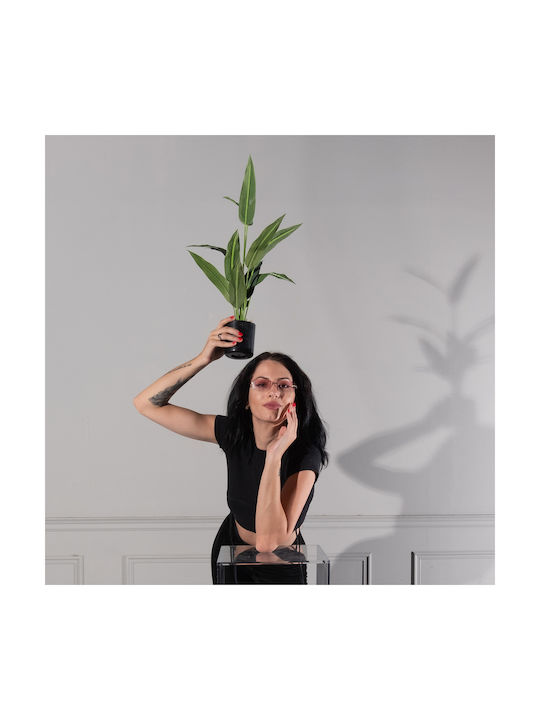 Artificial Outdoor Tree Bird of Paradise Green 60cm Supergreens