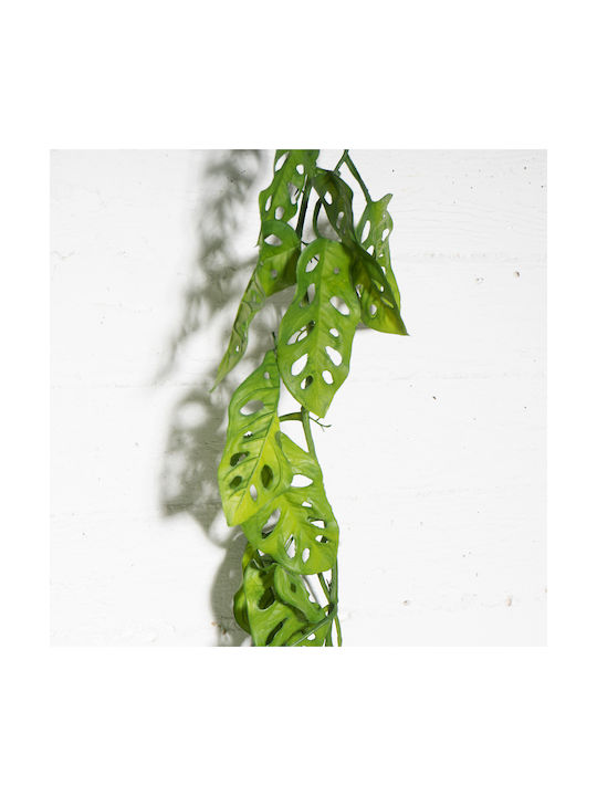 Ghirlandă Decorativă Monstera 115cm Supergreens