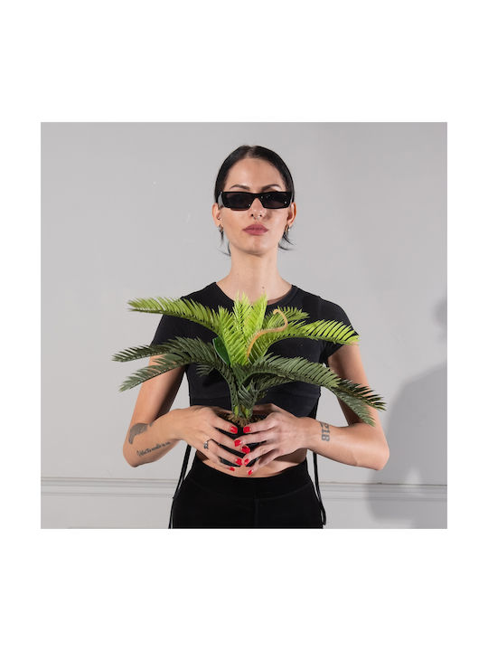 Φοίνικας σε Γλαστράκι 25cm Supergreens