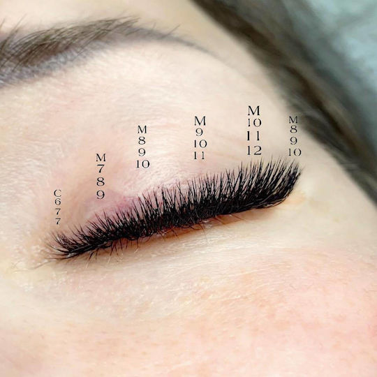 Lovely Künstliche Wimpern & Zubehör Eyelash Extension Starter Kit