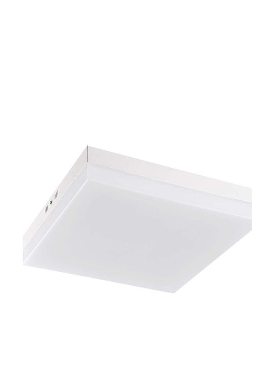 Lightplanet Pătrat Panou LED Putere 24W cu Alb Cald Lumini