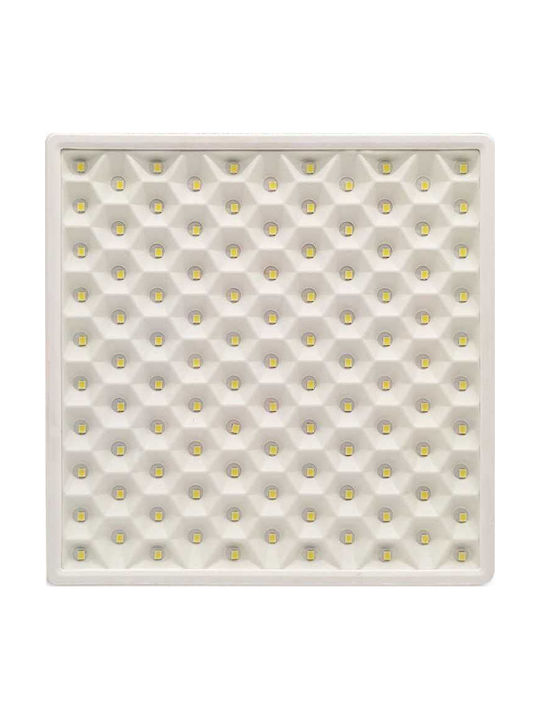 Lightplanet LED Panel 32W mit Kaltweiß Licht 6500K