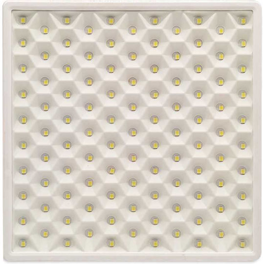 Lightplanet LED-Panels 32W Lightplanet LED-Panels 32W