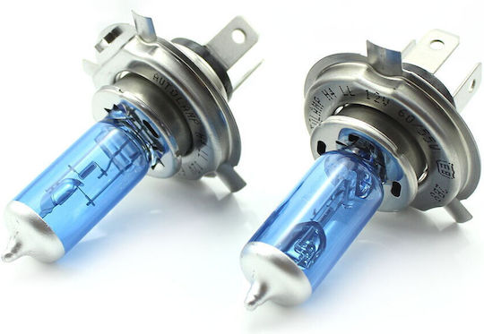 CarGuard Lampen Auto H4 Halogen Weiß 12V 55W 2Stück