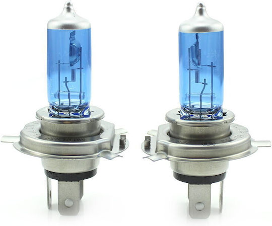 CarGuard Lampen Auto H4 Halogen Weiß 12V 55W 2Stück