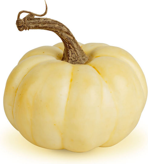 Autumn Decoration – Decorative Pumpkins – 6 Designs – Plastic
