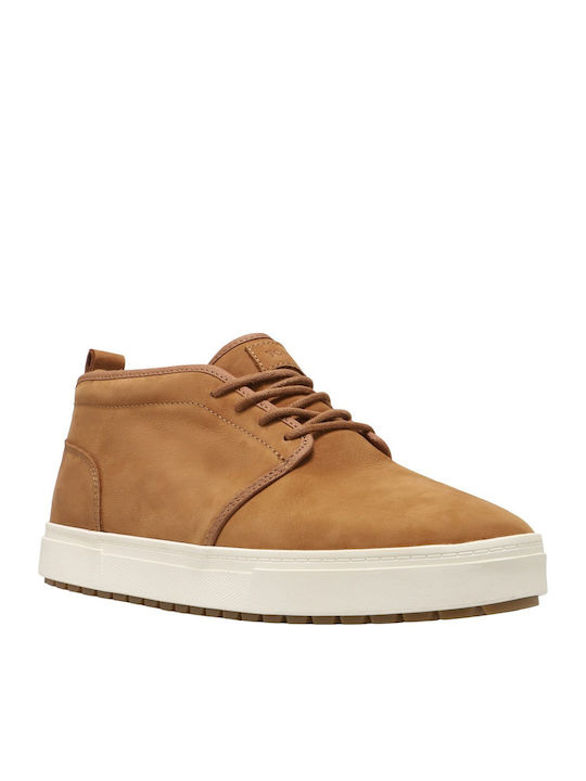 Toms