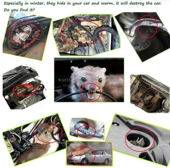 Car Rodent Repellent