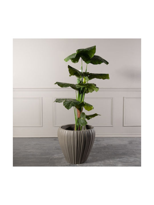 Supergreens Pot Concrete 55x55x50cm.
