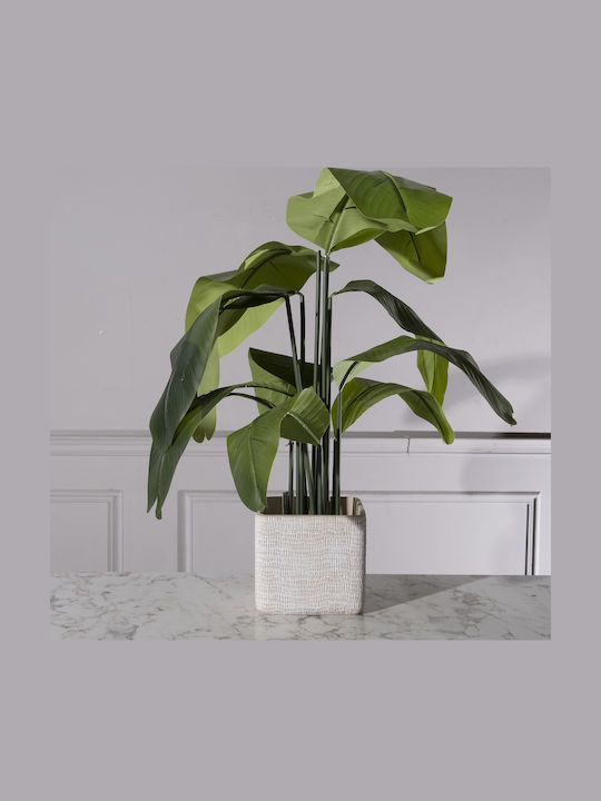 Supergreens Κασπώ Τσιμεντένιο Λευκό 21.5x21.5x20.5εκ.
