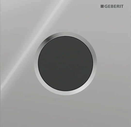 Geberit Flush Plate Dual Flush