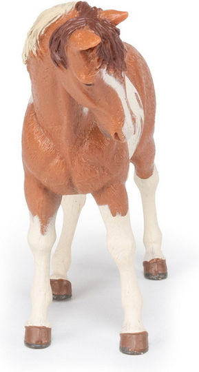 Papo Pinto Mare 13,5 cm