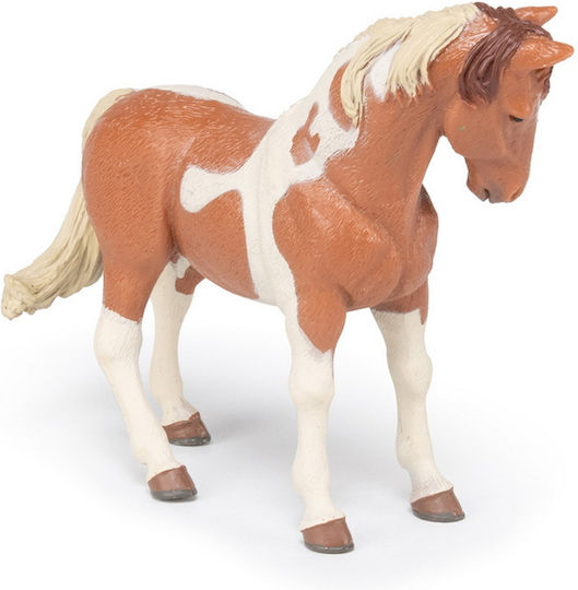 Papo Pinto Mare 13,5 cm