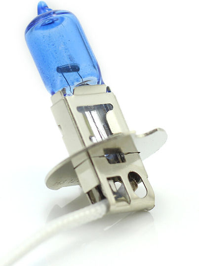 CarGuard Lămpi Autoturismului H3 Halogen Alb 12V 100W 2buc