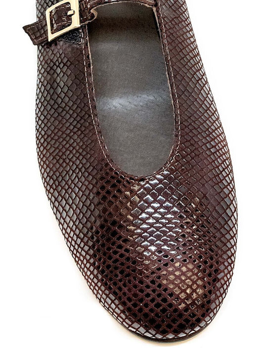 Lederne Damen Ballerinas in Braun Farbe