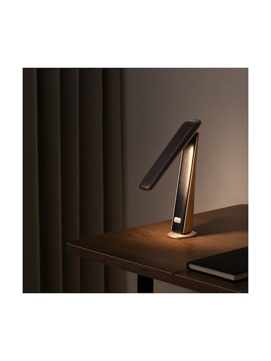 Eko Light LED Office Lamp