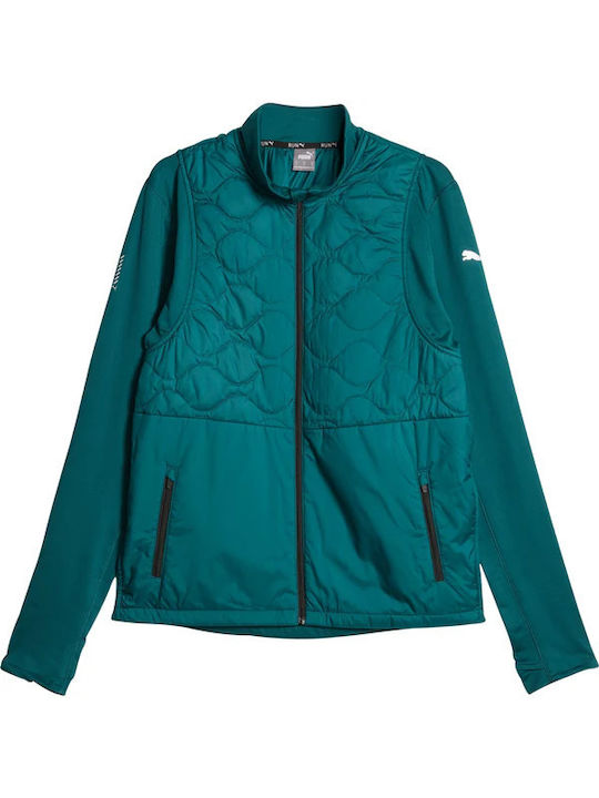 Men's Cardigan Dark Green