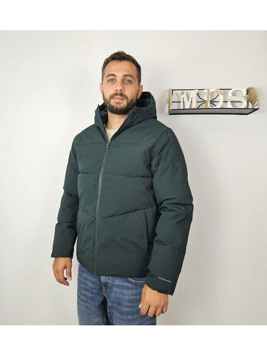 Winter Jacket Puffer Scarab