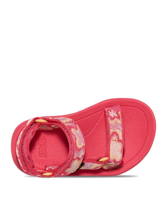 Teva