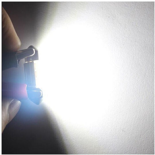 Heleco Λάμπες Αυτοκινήτου & Μοτοσυκλέτας C5W Canbus LED 6000K Ψυχρό Λευκό 3W 2τμχ