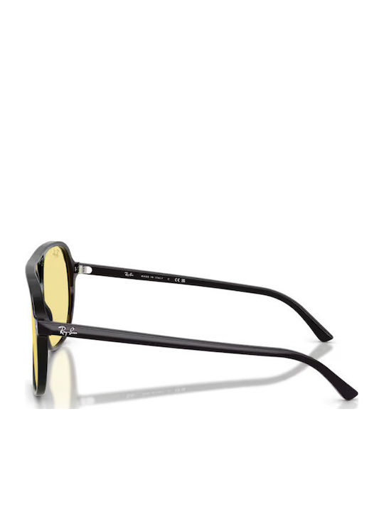 Ray Ban Γυαλιά Ηλίου με Κοκκάλινο Σκελετό Ray Ban Γυαλιά Ηλίου με Κοκκάλινο Σκελετό