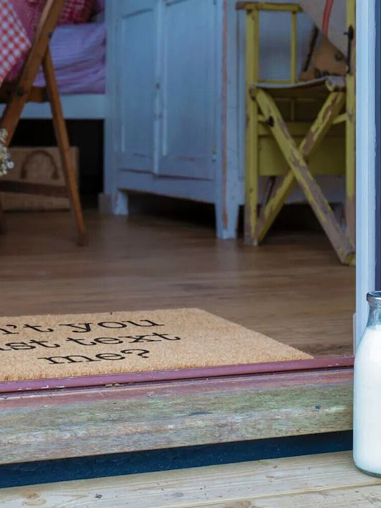 Artsy Mats Entrance Mat made of Coir with Anti-slip Backing Can't You Just Text Me 60x40cm