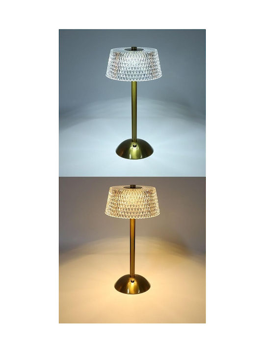 Decorative Lamp Gold