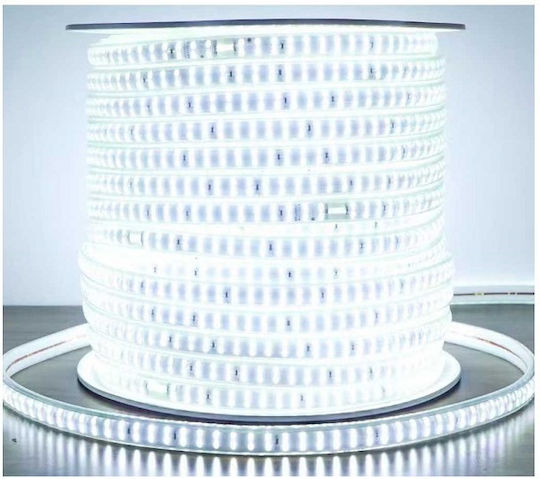 LED-Streifen 220V Warmes Weiß Licht 1m Typ SMD2835